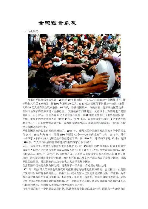 全球粮食危机