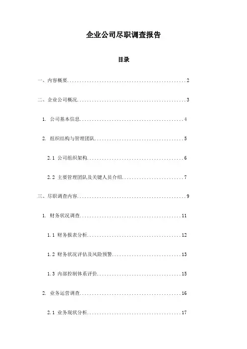 企业公司尽职调查报告