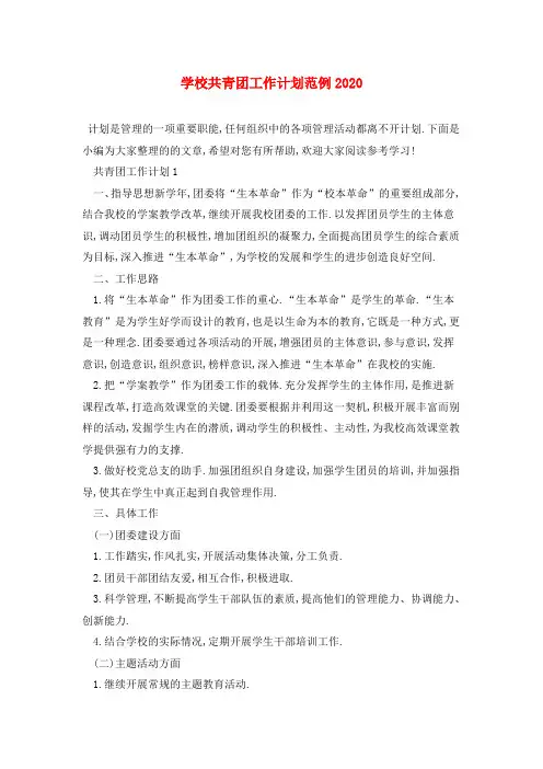 学校共青团2021年工作计划范例2020