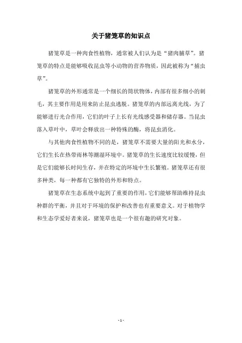 关于猪笼草的知识点