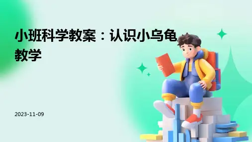 小班科学教案认识小乌龟教学