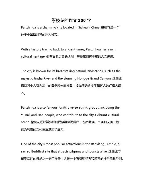 攀枝花的作文300字