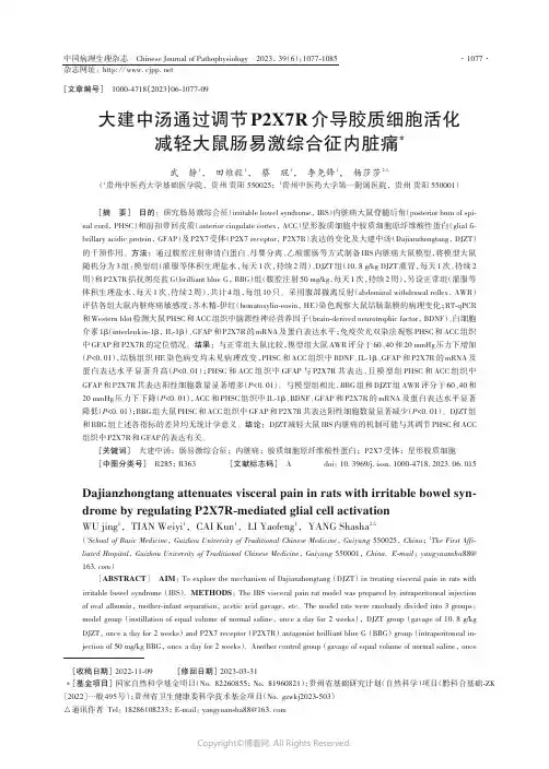 大建中汤通过调节P2X7R介导胶质细胞活化减轻大鼠肠易激综合征内脏痛