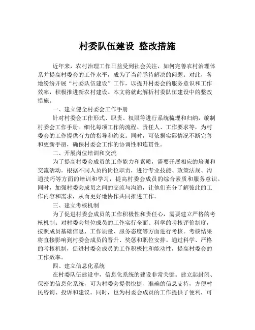 村委队伍建设 整改措施