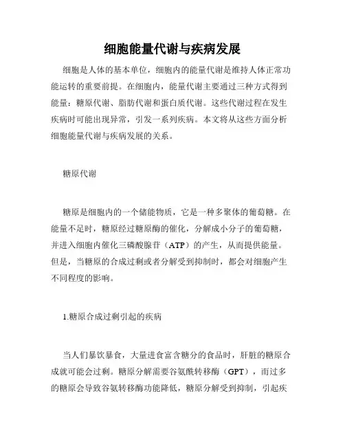 细胞能量代谢与疾病发展