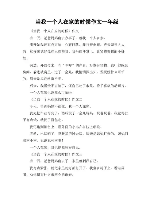 当我一个人在家的时候作文一年级