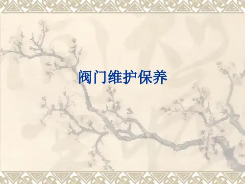 阀门维护保养讲解
