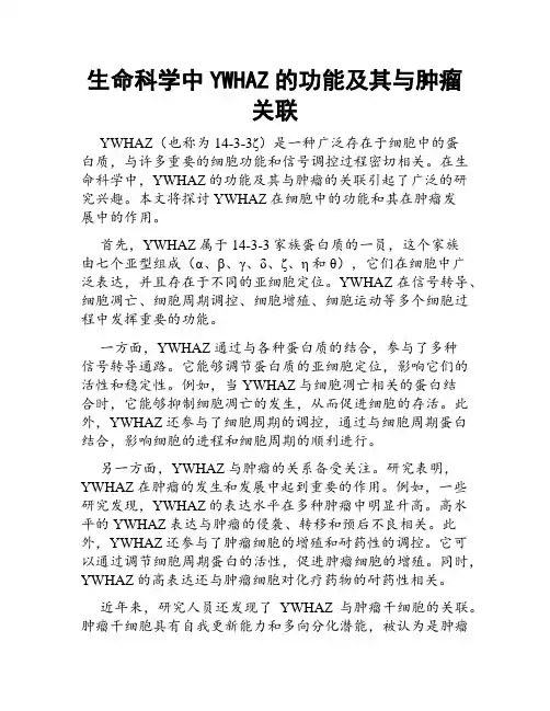 生命科学中YWHAZ的功能及其与肿瘤关联