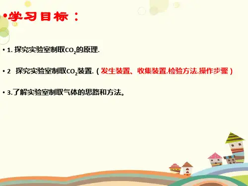 初中化学人教九年级上册第六单元 碳和碳的氧化物 课题二 二氧化碳的制法探究PPT
