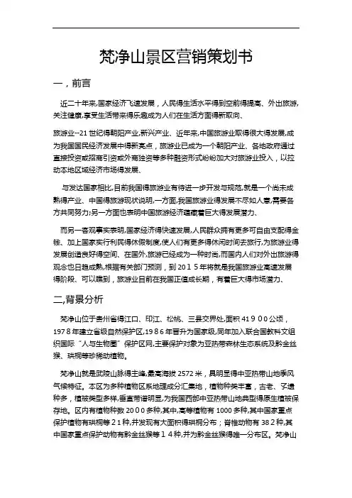 梵净山景区营销策划方案