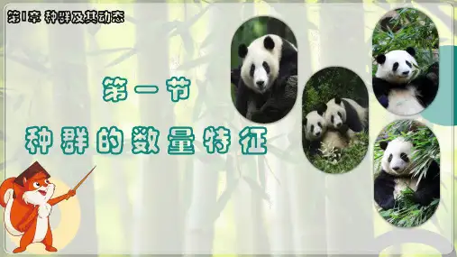 1.1种群的数量特征(第二课时)高二生物课件(人教版2019选择性必修2)
