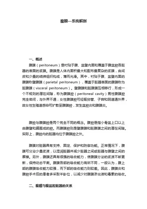 腹膜—系统解剖
