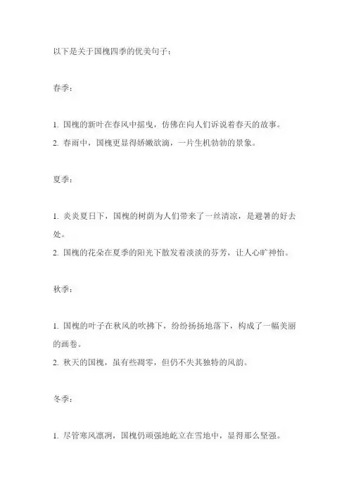 国槐四季优美句子简短摘抄