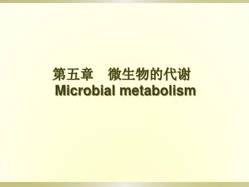 5、微生物的代谢