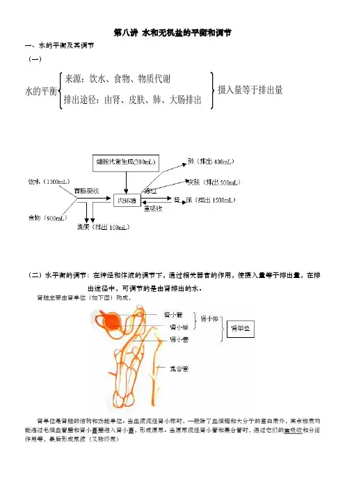 人体水盐平衡的调节习题和讲义全