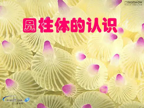 (精选)六年级数学下册二、圆柱和圆锥1《圆柱和圆锥的认识》圆柱体的认识 PPT精品课件苏教版