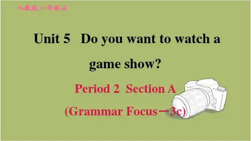 人教版八年级英语上册：Unit 5 Do you want to watch a game show Period 2 Section A (Grammar Focus-3c)