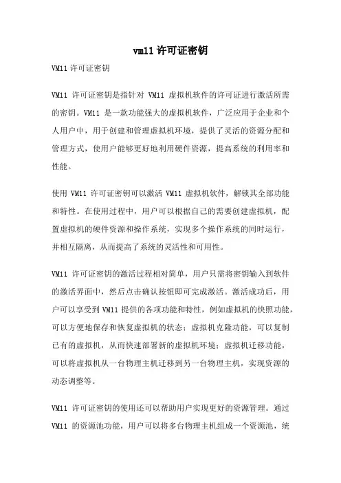 vm11许可证密钥