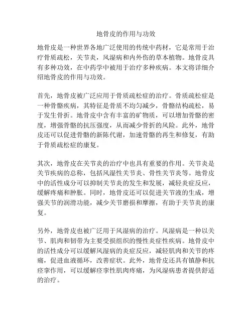 地骨皮的作用与功效