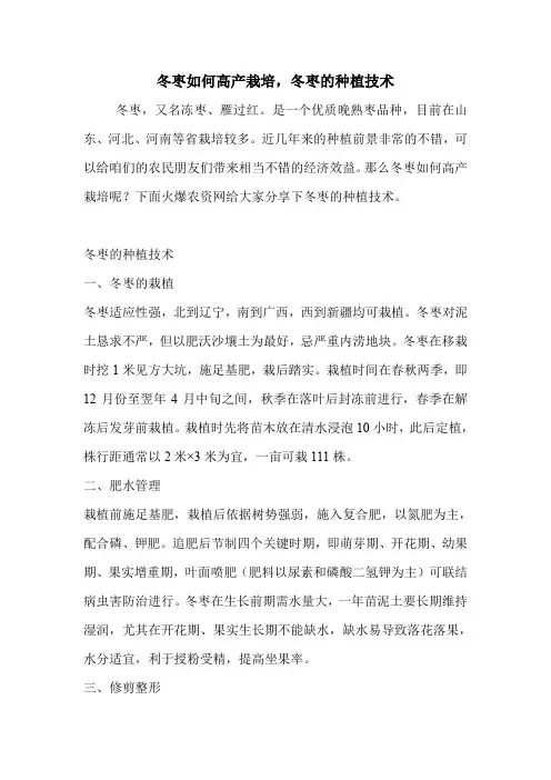 冬枣如何高产栽培,冬枣的种植技术.doc