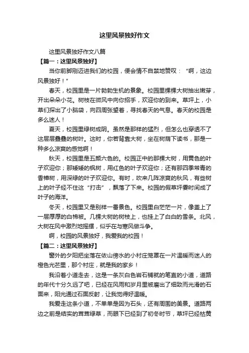 这里风景独好作文八篇