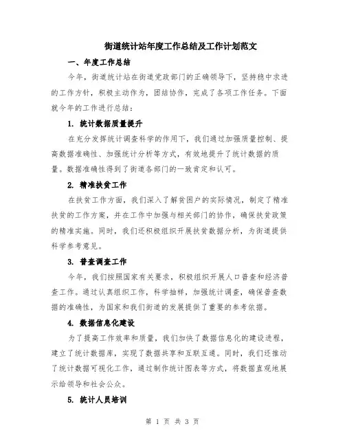 街道统计站年度工作总结及工作计划范文
