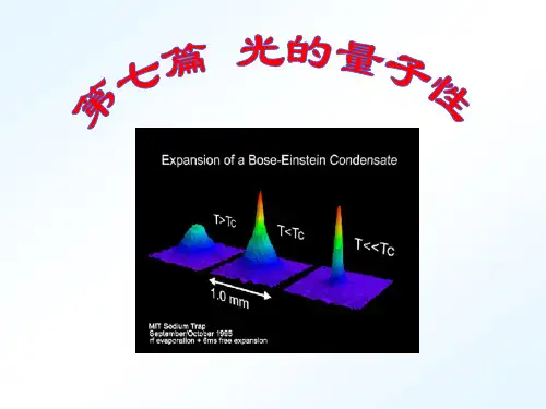光的量子性..(精品文档)