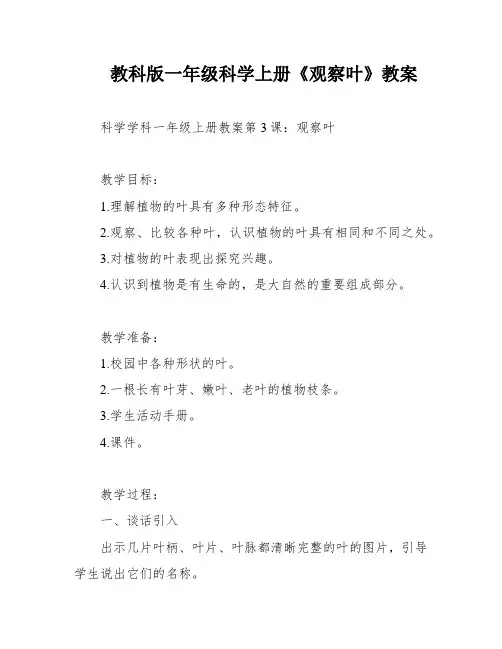 教科版一年级科学上册《观察叶》教案