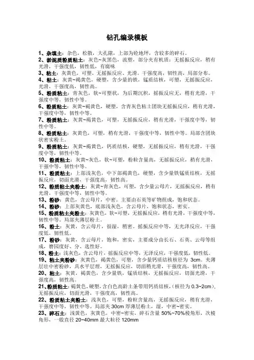 钻孔编录模板