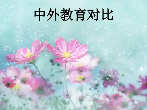 中外教育差异
