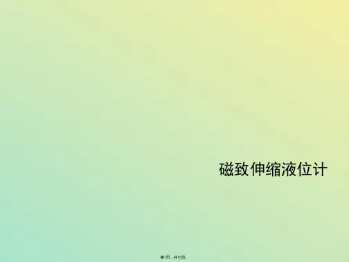 磁致伸缩液位计(与“伸缩”相关文档)共15张PPT