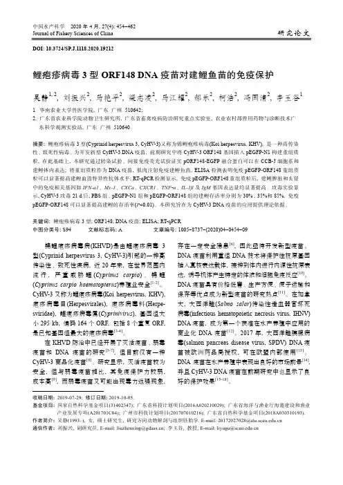 鲤疱疹病毒3型ORF148 DNA疫苗对建鲤鱼苗的免疫保护