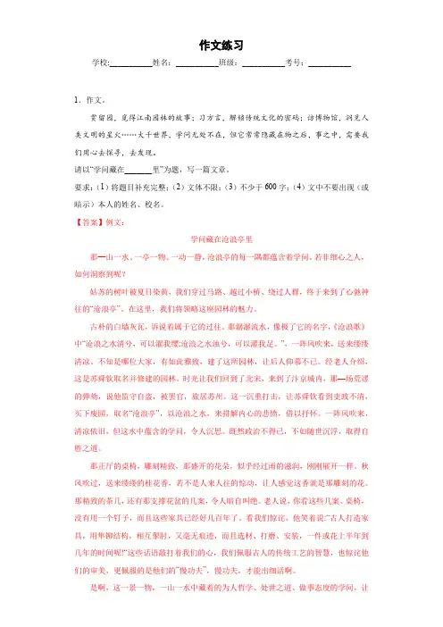 作文练习-2023年中考语文考前专项必刷题(江苏苏州)(解析版)