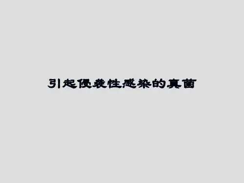 引起侵袭性感染的真菌ppt课件