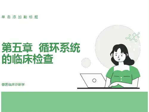 循环系统的临床检查