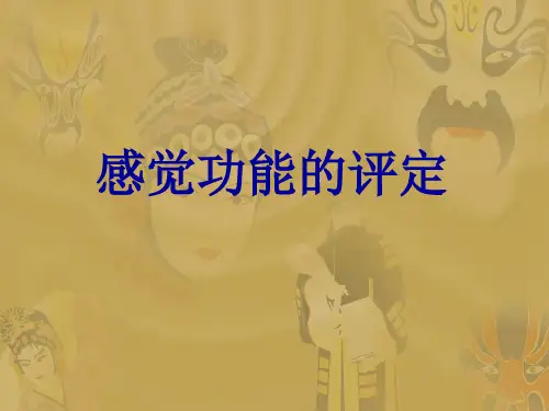 感觉功能评定技术
