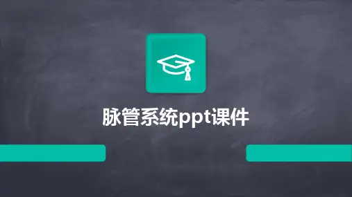 脉管系统ppt课件