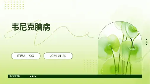 韦尼克脑病教学演示课件