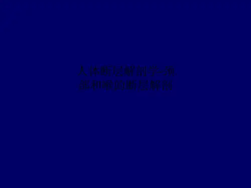 人体断层解剖学-颈部和喉的断层解剖