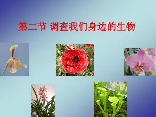 调查我们身边的生物