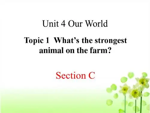 八年级英语上册Unit4 Topic1 SectionC精品课件 最新仁爱版