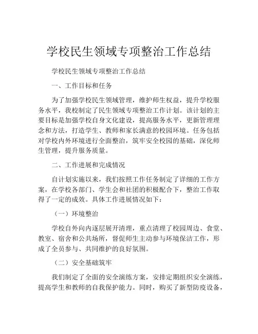 学校民生领域专项整治工作总结
