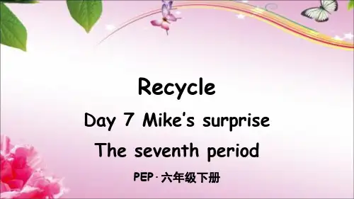 PEP版六年级英语下册Day 7 Mike's surprise