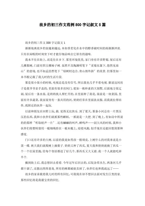 故乡的初三作文范例800字记叙文5篇
