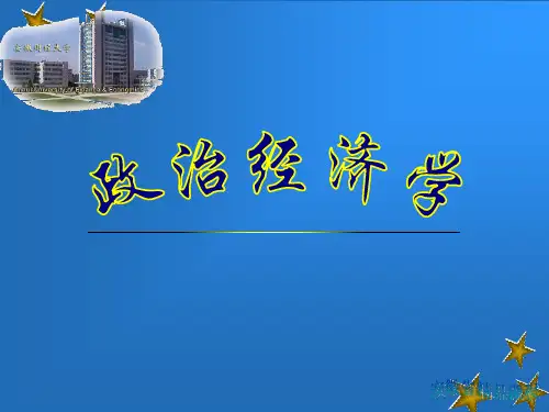 现代政治经济学导论