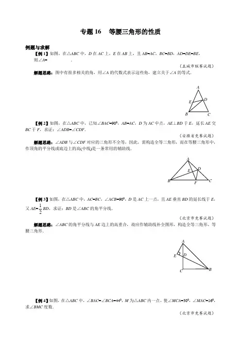 专题16 等腰三角形的性质