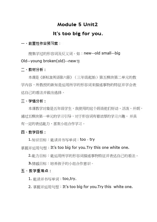 小学英语《It's too big for you》优质教案、教学设计