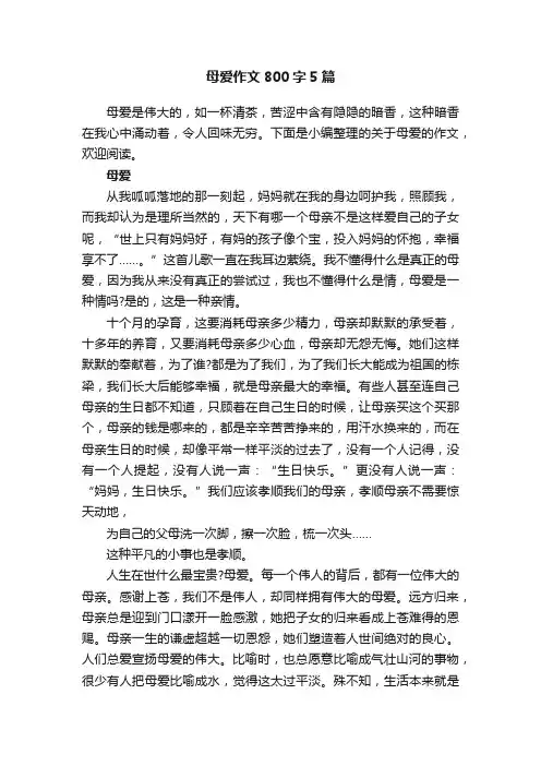 母爱作文800字5篇