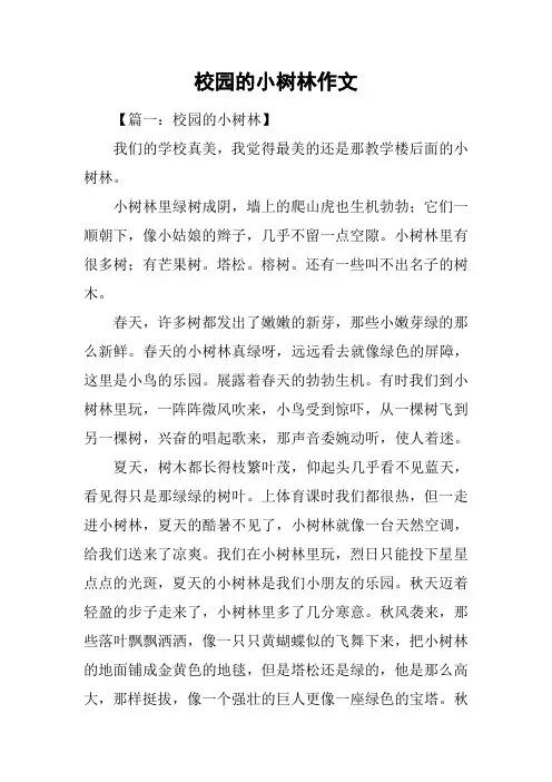 校园的小树林作文