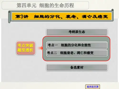 高考生物一轮复习 第四单元 第3讲 细胞的分化、衰老、